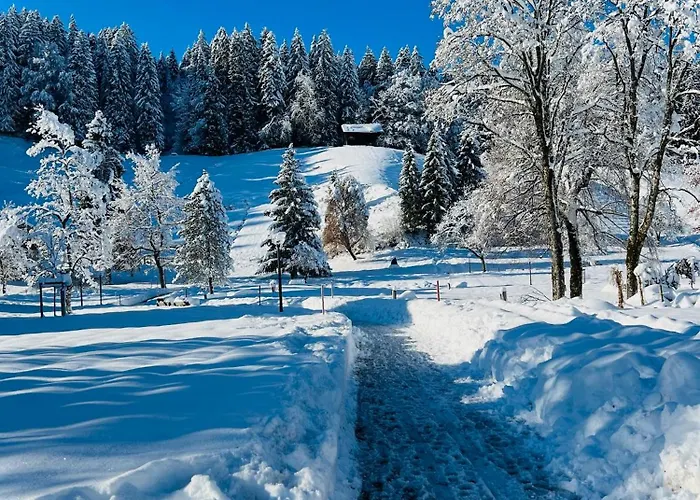 Sonneck Apartment *
